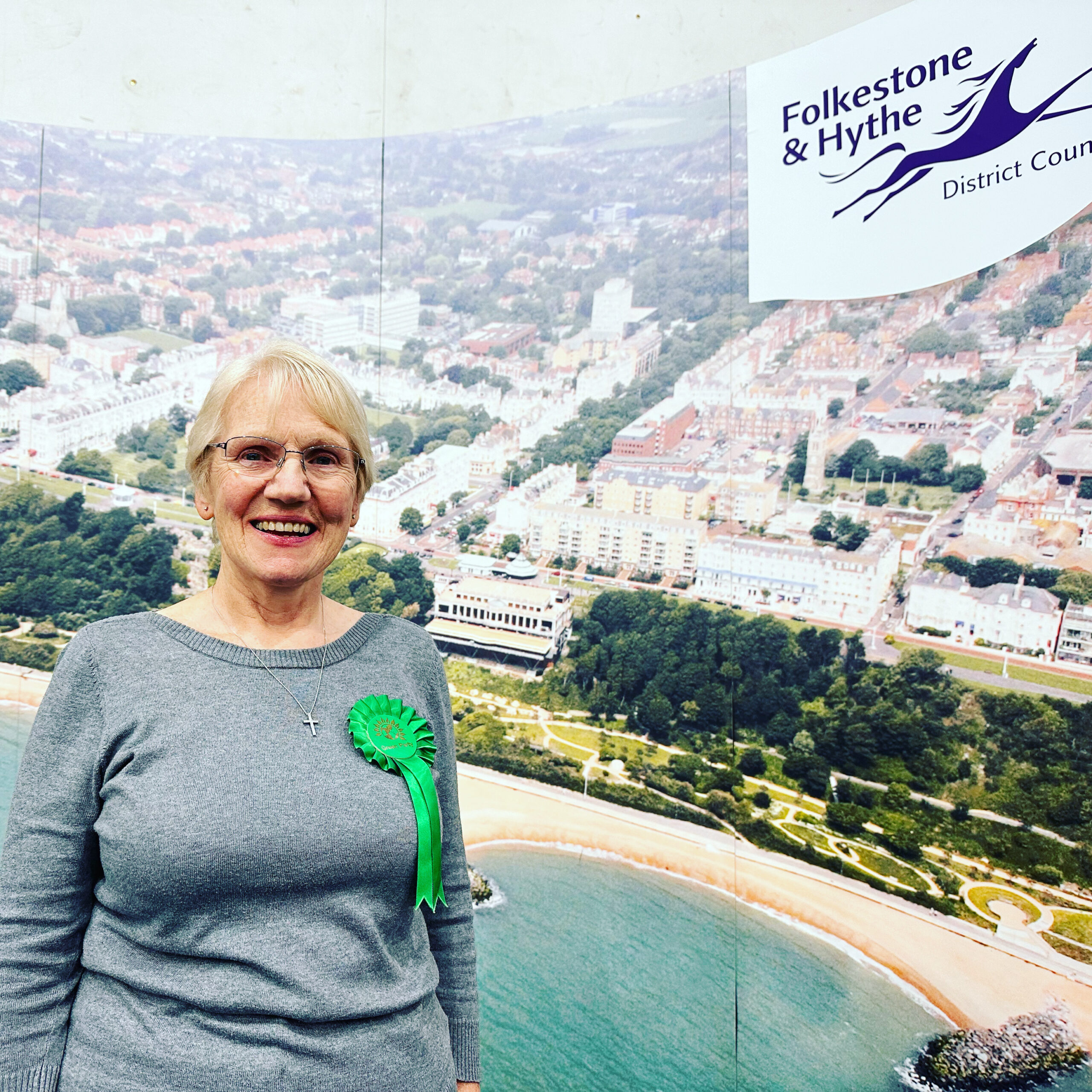 124CC8B1-FF9F-4744-8059-B45459F2EC8F Elaine Martin, Green Party councillor for North Downs West.