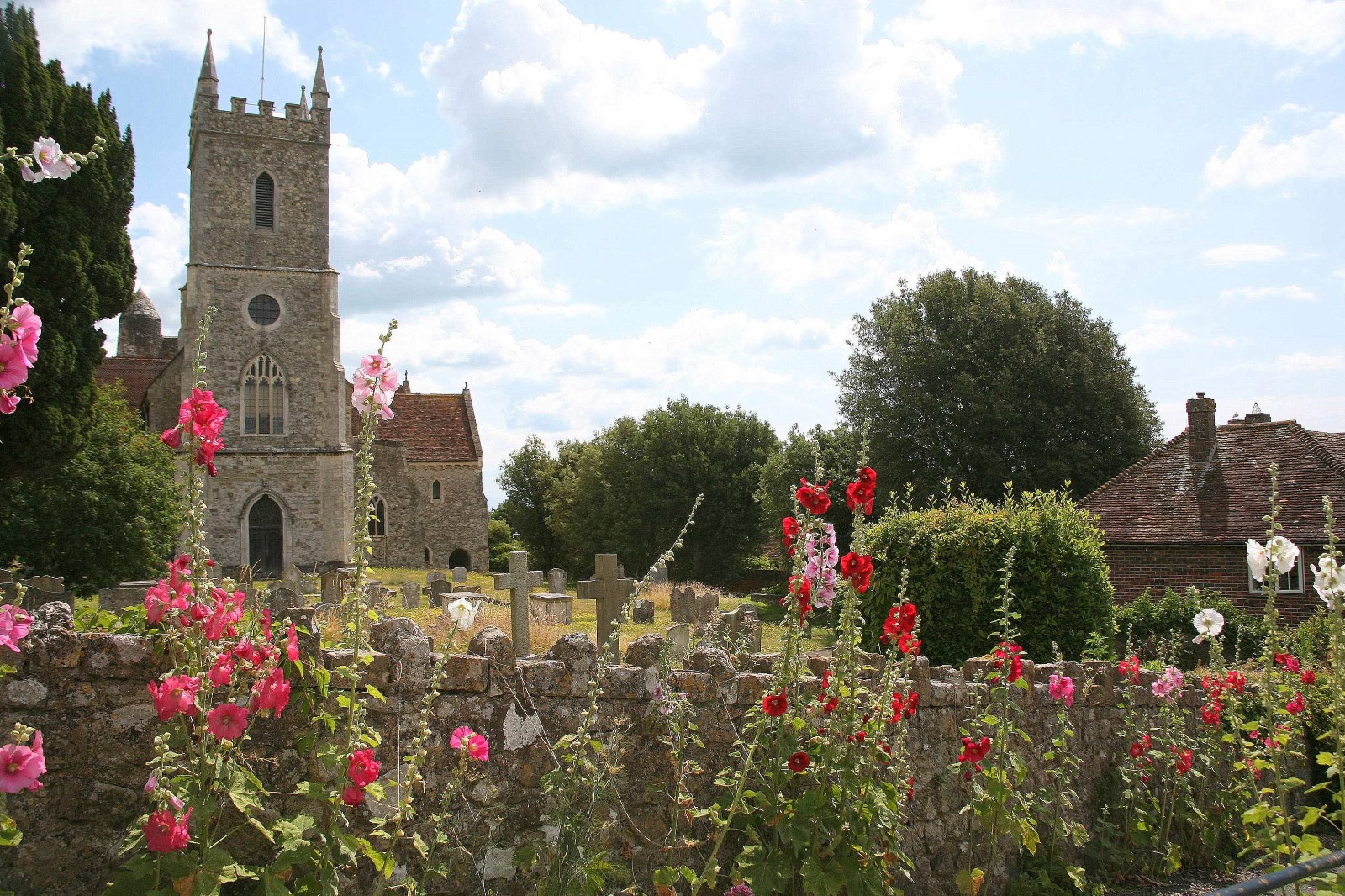 Hollyhocks on Church Hill, Hythe.