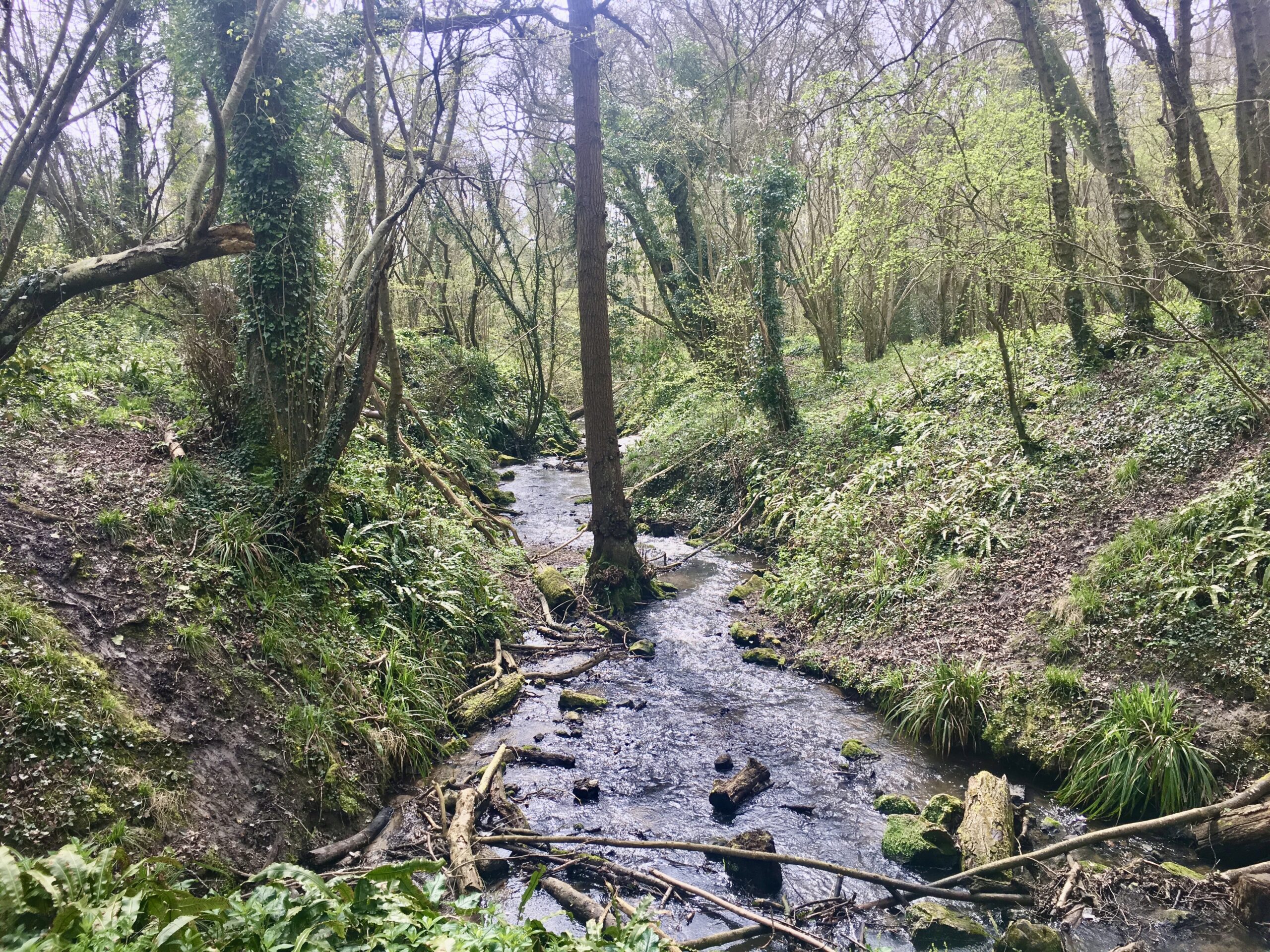 Brockhill Stream Brockhill Street running through land adjacent to Spanton Crescent.